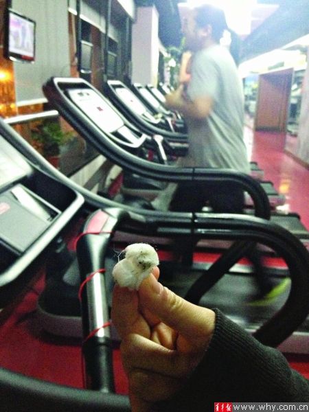 迈博器材上附着大量脏物。