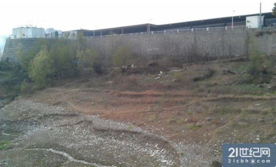 农夫山泉胡家岭厂区下方遍地垃圾。(21世纪网 摄)