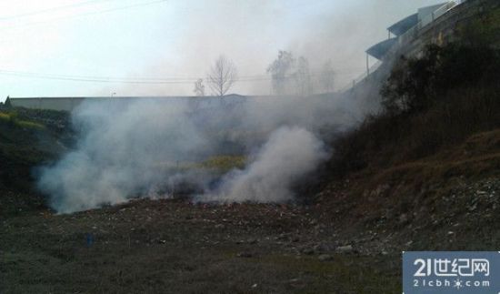 厂区下方焚烧垃圾有毒浓烟飘进厂区。21世纪网 摄