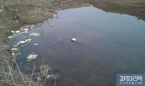 此水域与库区连通蚊蝇乱舞。21世纪网 摄