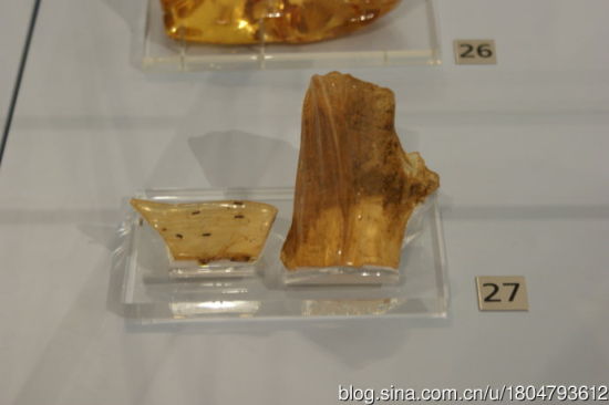 27 科巴树脂  马达加斯加200-500万年
