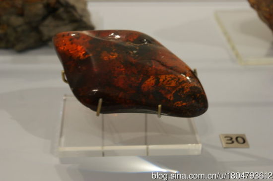 多米尼加大块虫珀，里面黑咕隆咚都是小昆虫，2千万年。