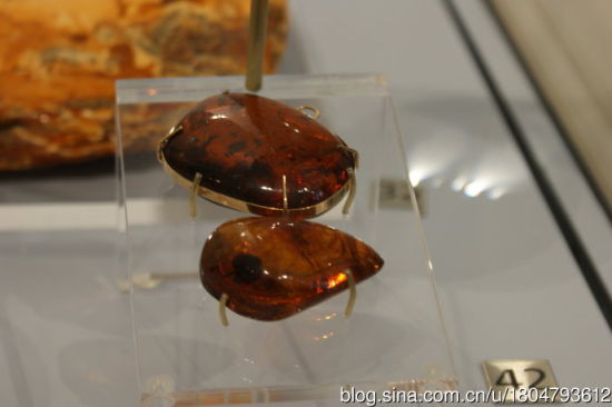 42、做成镶金胸针的多米尼加虫珀