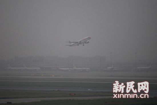 　　图说：今天清晨，加注我国自主产权生物航空燃油的一架东方航空A320型客机在晨雾中起飞。新民网 萧君玮 现场拍摄