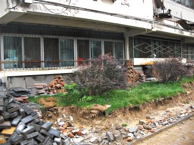 今年5月2日，48号楼前，绿化带已不见踪影，取而代之的是一排停车位。实习生 李锐嘉 摄