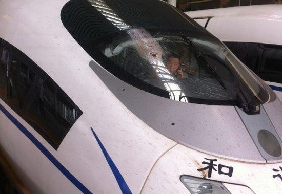 被飞鸟撞裂玻璃的高铁列车。