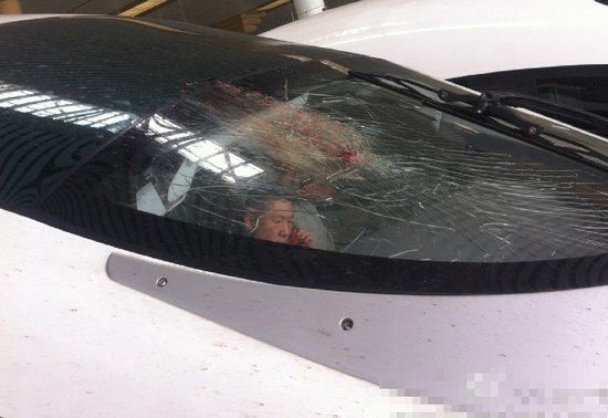 被飞鸟撞裂玻璃的高铁列车。