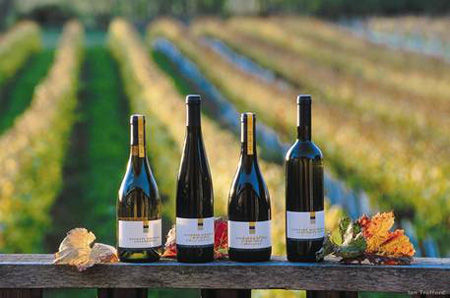 　　根据商务部数据，2012年中国葡萄酒进口自欧盟总量达25.7万千升，约占同类产品进口总额的三分之二，价值约8亿欧元。欧盟国家中，法国份额最高。