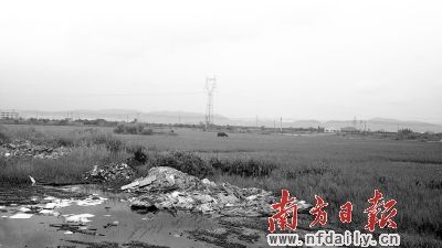 园区到处都是碎石、杂草和池塘。