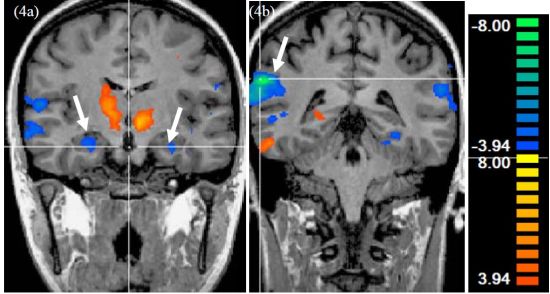 (图片来源：市场营销研究期刊Journal of Marketing Research 2009年2月刊)