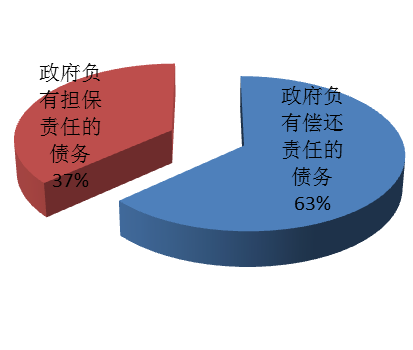 图4：2010年政府部门和机构举债类型
