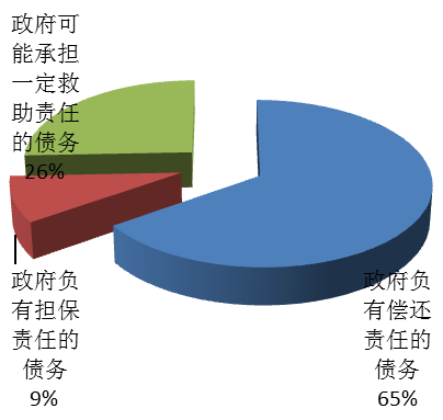 图6：2010年经费补助事业单位举债类型