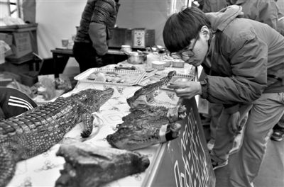 　　北京龙潭庙会，来自吉林的王成全以4万元租价租下龙潭庙会一个摊位卖烤鳄鱼肉，摊位前吸引不少年轻人驻足。本版摄影/新京报记者 王叔坤