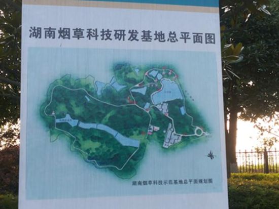 被举报的“领导别墅基地”。