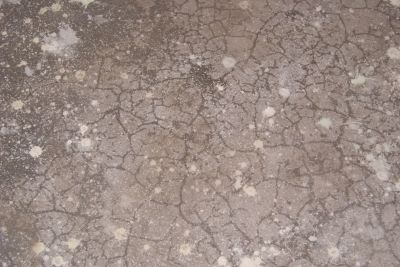 地面找平层用水浇湿后，呈现鱼鳞状的裂纹。