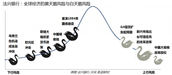 全球经济的黑天鹅与白天鹅