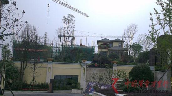 上图为已建成和正在建设中的独栋别墅