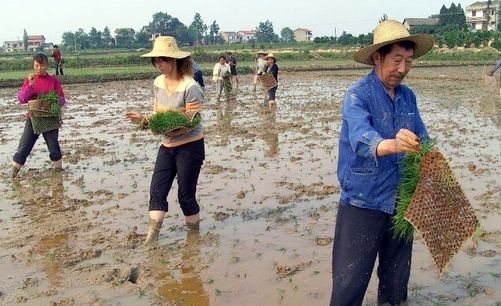 农村土地公有制实现形式的三大突破。