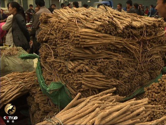 等待药材收购商的药农