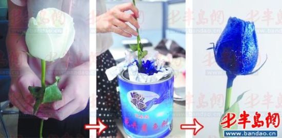 记者买来着色剂和荧光粉，仅10分钟就造出了一枝