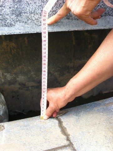  经实地测量，裂缝长度超过5米，最宽的地方约26.5厘米 