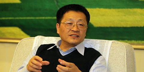 中铝葛红林从高官到高管背后