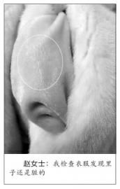 资料图片。图片来源：新文化报 马丽娟