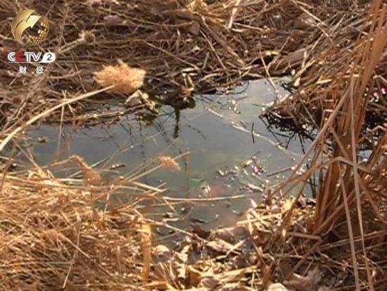 工厂排出的污水