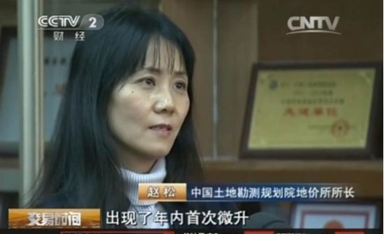 圖為國土資源部地價所所長趙松。 圖為國土資源部地價所所長趙松。