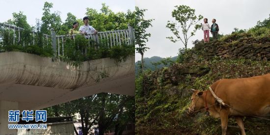 外出打工父母与留守儿童的“合”影作品《遥望：爱在远方》