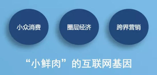 “小鲜肉”的互联网基因