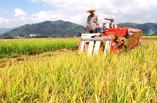 “三农”改革：保障粮食、提高民生