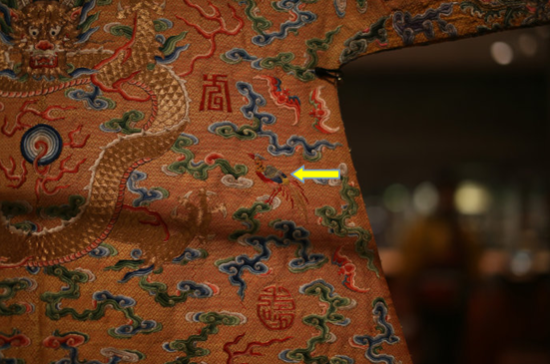 “华虫”——雉形鸟类