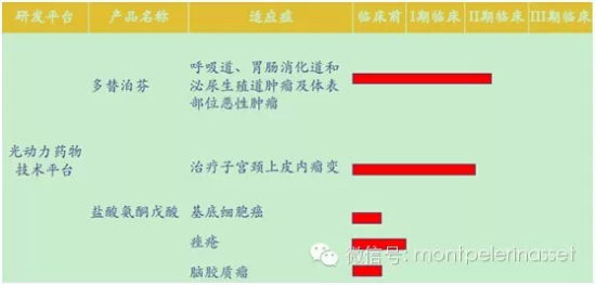 复旦张江在研产品。图片来源：(来自倍霖山观察)