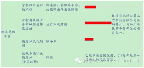 复旦张江在研产品。图片来源：(来自倍霖山观察)