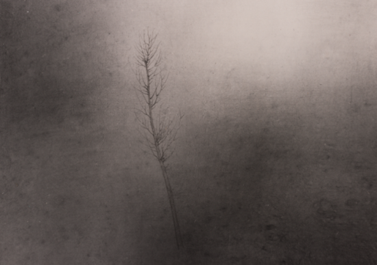 XG008 34x45cm 2015