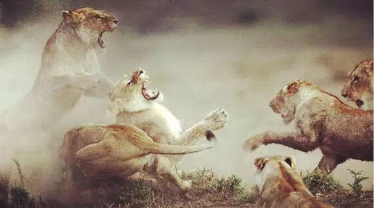 一个凶险的未来