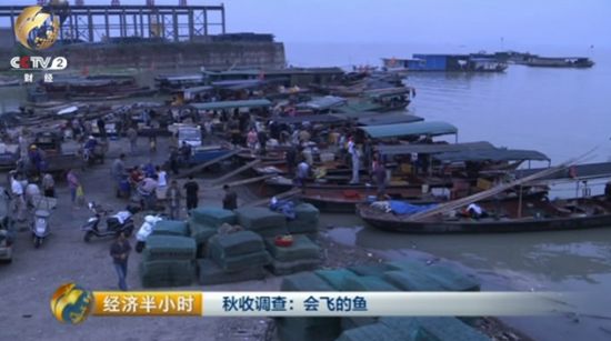 　早上六点，岳阳市南岳坡码头，满载着渔民们一夜捕捞成果的渔船一个接一个靠岸。