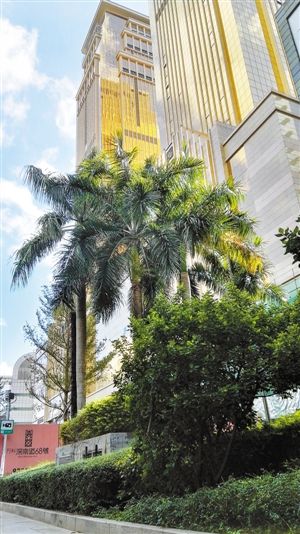 “大金牙”一度被视为“金色罗湖”的象征。