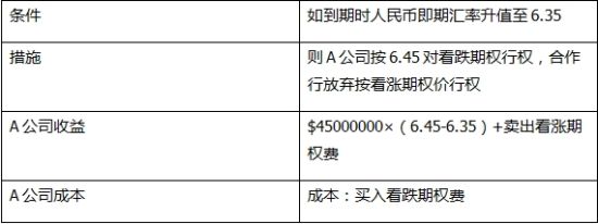 表1 外汇看跌风险逆转期权组合