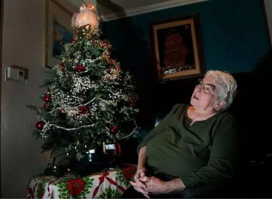 圣诞购物季期间，一些美国消费者打算在互联网上或在树林中寻找新鲜的圣诞树。2014年12月8日，73岁的美国人珍妮蒂博在网上订购一颗圣诞树，从新罕布什尔州山星农场运到比佛利她的家中。图片：AP