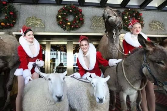 纽约无线电城音乐厅火箭女郎舞蹈团每年为圣诞节演出，刺激娱乐消费，吸引很多观众前来观看。图片来源：AP