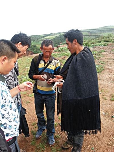 ▲在九口乡山顶，彝族人三两结伴，等待城里的商人上山选料。