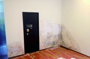 小图：有业主家中墙体霉变起皮。