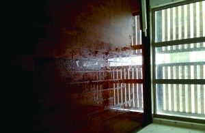 大图：有的业主家中漏水严重。