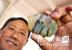 一枚雨花石拍出近10万元(图)_手机新浪网