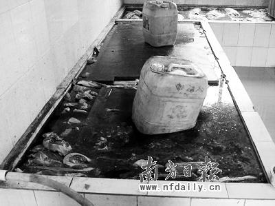 浸泡池加亚硝酸盐。杨大正摄 