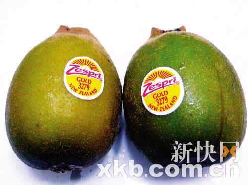 　　市面以进口为主水果 新西兰金奇果