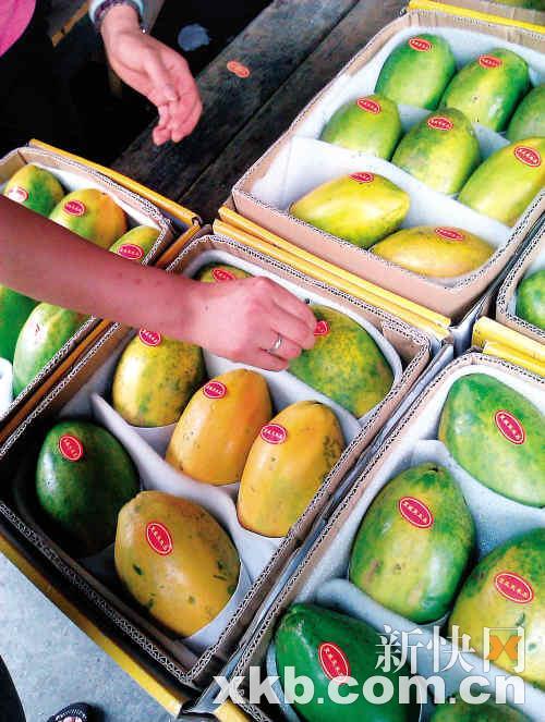 　　■档主正给木瓜贴上“夏威夷木瓜”标签。魏蔚/摄