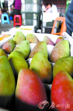 　　江南果菜批发市场一芒果销售档口的芒果。记者顾展旭摄 